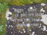 image of grave number 622561